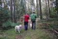  Goldienka se svojí psí i lidskou smečkou poprvé v lese