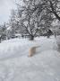 Blondienka si užívá sněhu na chalupě