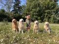 Benník, Chaseynek, Anička, Izzynka a Goldienka